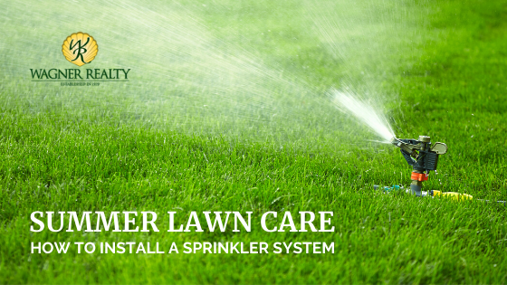 Summer Lawn Care
