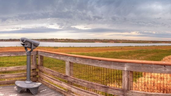 Outdoors Sarasota Manatee